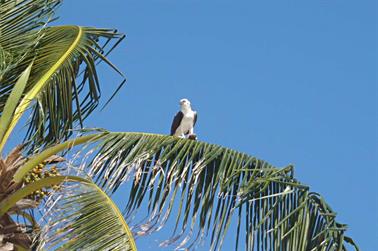 Dreams-Resort-und-Spa-Tulum, PB170509_b_H600Px